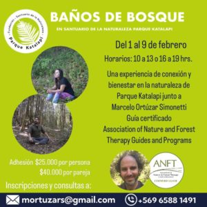 Sesión de 3 horas baño de bosque / por pareja