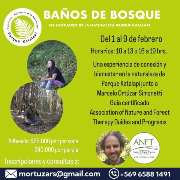 Sesión de 3 horas baño de bosque