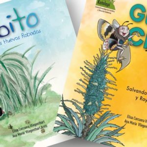 Cuentos infantiles