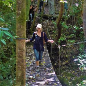 Visita guiada particular por persona adulta, mínimo 3.