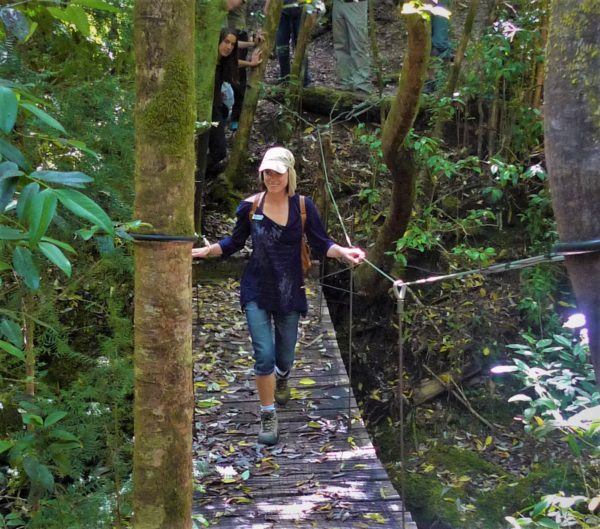 Visita guiada particular por persona adulta, mínimo 3.